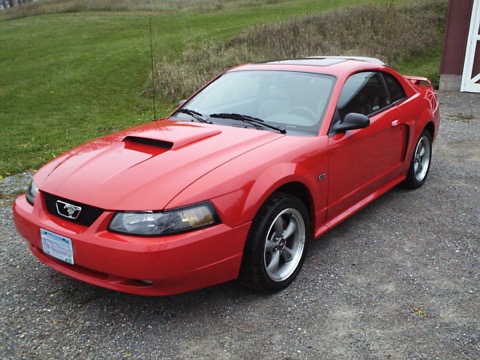 Mustang GT / An earlier look, before the black hood graphics