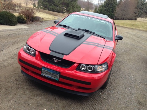 Mustang GT / Front view with Shaker scoop and projector headlights