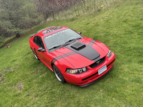 Mustang GT / Looking down at the hood graphics