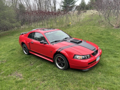 Mustang GT / Front three-quarter view on the lawn
