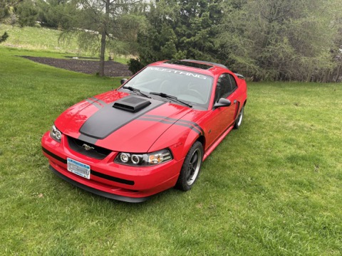 Mustang GT / A closer view of the front end