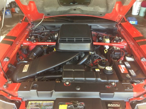 Mustang GT / Engine bay viewed from the front