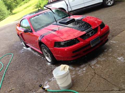 Mustang GT / Wash day in the driveway