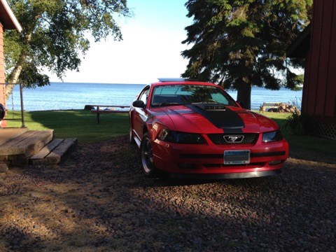Mustang GT / Parked beside the water