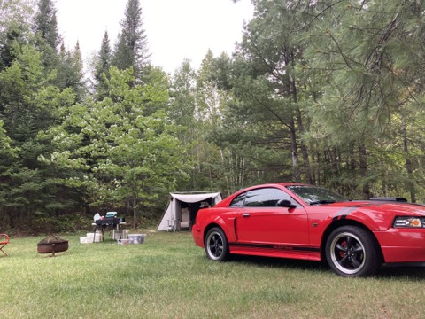 Mustang GT / The Mustang at a wooded campsite