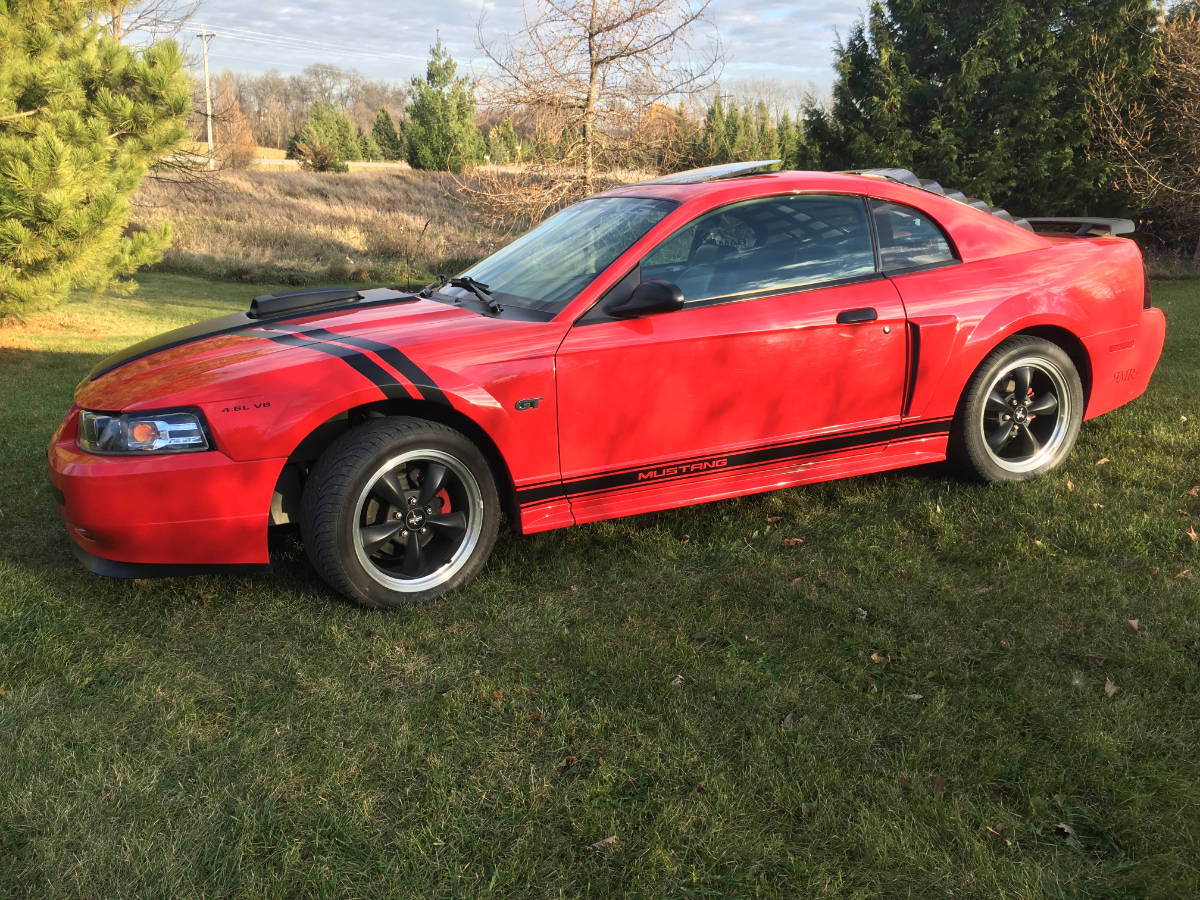 Mustang image 02