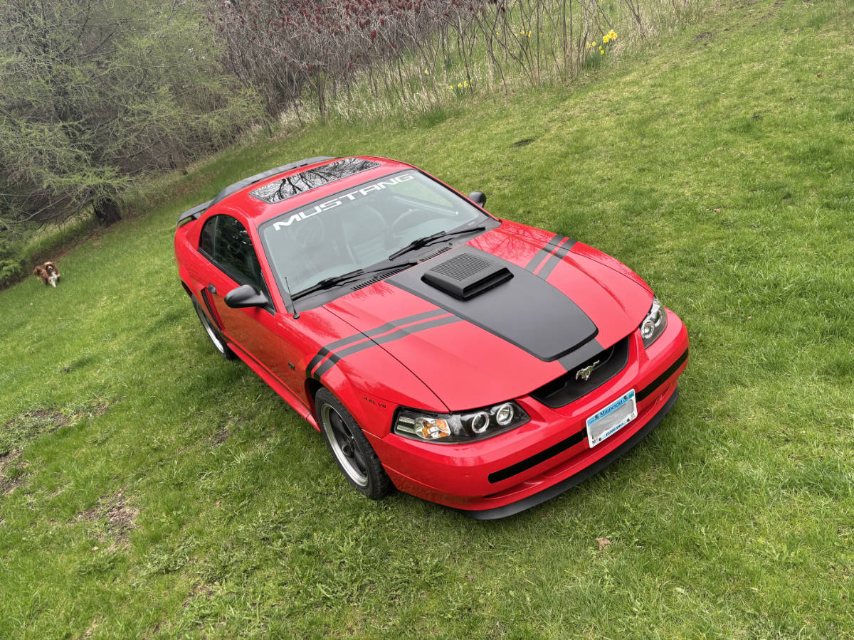 Mustang image 04