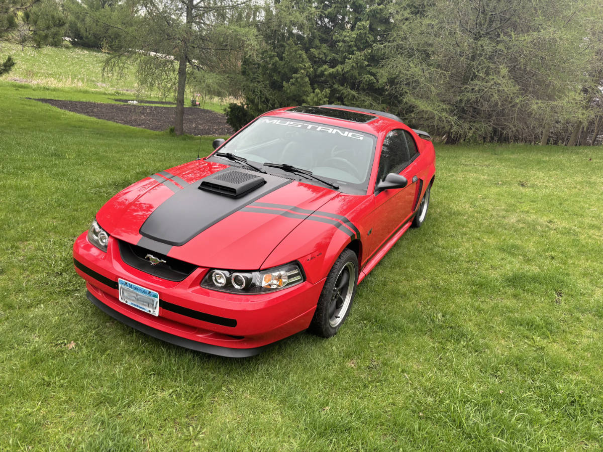 Mustang image 07