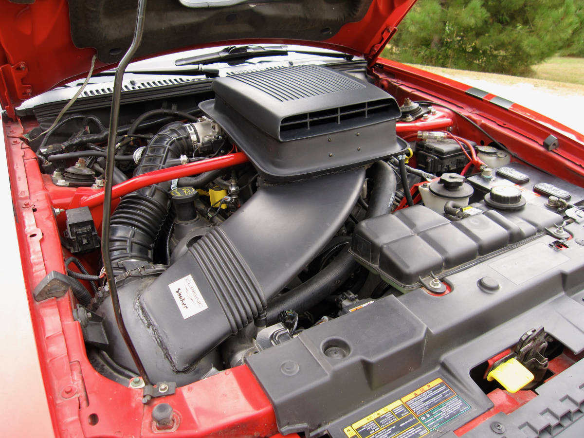 Mustang image 09