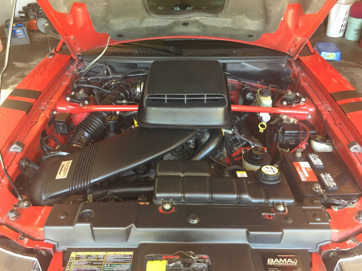 Mustang image 11