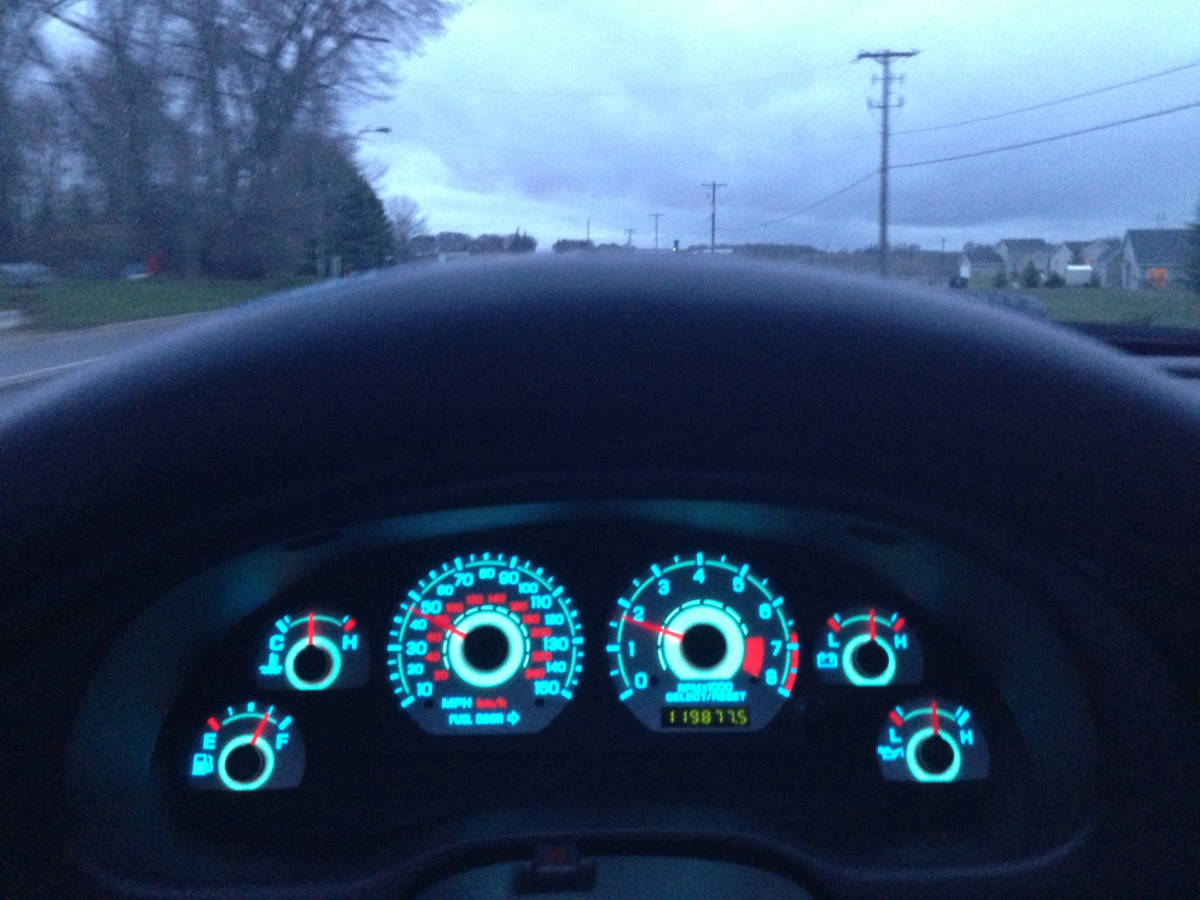 Mustang image 16